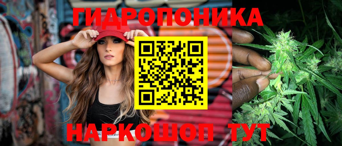 Бошки Шишки сатива Октябрьский